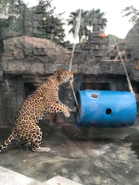 天王寺動物園に投稿された画像（2020/9/20）
