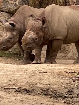 天王寺動物園に投稿された画像（2020/9/20）