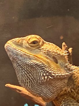 天王寺動物園に投稿された画像（2020/9/20）