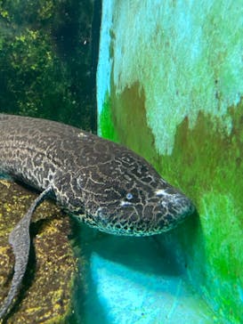 天王寺動物園に投稿された画像（2020/9/20）