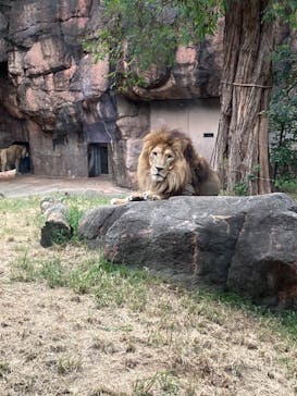 天王寺動物園に投稿された画像（2020/9/20）
