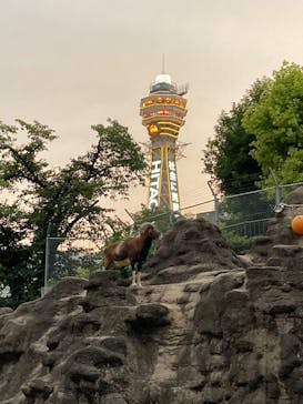 天王寺動物園に投稿された画像（2020/9/20）