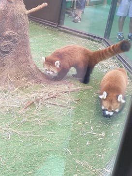 伊豆シャボテン動物公園に投稿された画像（2020/9/20）