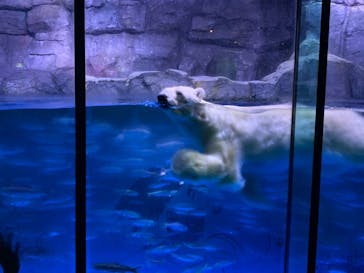 横浜・八景島シーパラダイスに投稿された画像（2020/9/20）