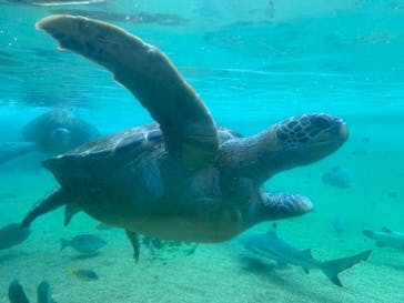 横浜・八景島シーパラダイスに投稿された画像（2020/9/20）