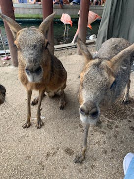 横浜・八景島シーパラダイスに投稿された画像（2020/9/20）