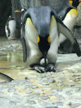 仙台うみの杜水族館に投稿された画像（2020/9/21）