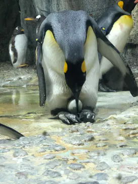 仙台うみの杜水族館に投稿された画像（2020/9/20）