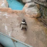 東武動物公園に投稿された画像（2020/9/21）