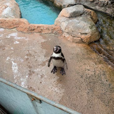 東武動物公園に投稿された画像（2020/9/20）