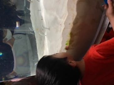 マリンワールド海の中道に投稿された画像（2020/9/20）