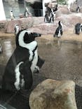 京都水族館に投稿された画像（2020/9/21）