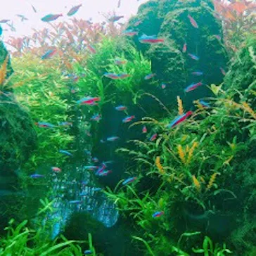 すみだ水族館に投稿された画像（2020/9/20）