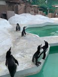 天王寺動物園に投稿された画像（2020/9/21）