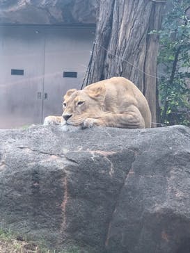 天王寺動物園に投稿された画像（2020/9/20）