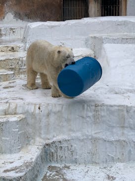 天王寺動物園に投稿された画像（2020/9/20）