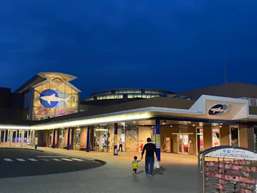 アクアワールド茨城県大洗水族館に投稿された画像（2020/9/21）