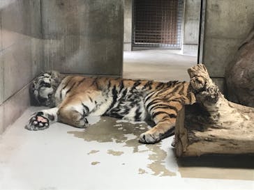 天王寺動物園に投稿された画像（2020/9/21）