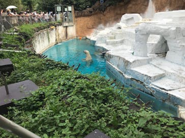 天王寺動物園に投稿された画像（2020/9/21）