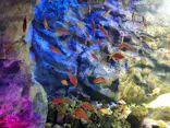 仙台うみの杜水族館に投稿された画像（2020/9/21）