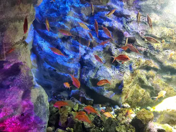 仙台うみの杜水族館に投稿された画像（2020/9/21）