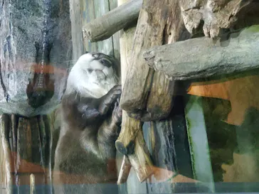仙台うみの杜水族館に投稿された画像（2020/9/21）