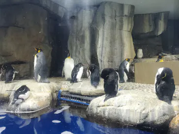 仙台うみの杜水族館に投稿された画像（2020/9/21）