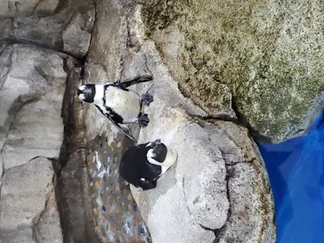 仙台うみの杜水族館に投稿された画像（2020/9/21）
