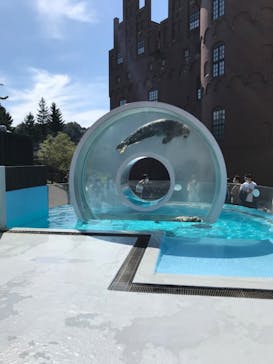 登別マリンパークニクスに投稿された画像（2020/9/21）