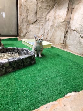 那須どうぶつ王国に投稿された画像（2020/9/21）