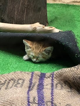 那須どうぶつ王国に投稿された画像（2020/9/21）