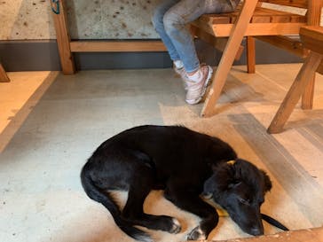 わんダフルネイチャーヴィレッジに投稿された画像（2020/9/21）