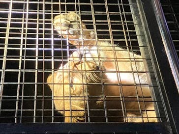 那須サファリパークに投稿された画像（2020/9/21）