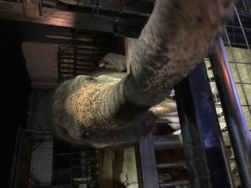 那須サファリパークに投稿された画像（2020/9/21）