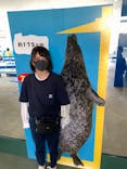 島根県立 しまね海洋館に投稿された画像（2020/9/21）
