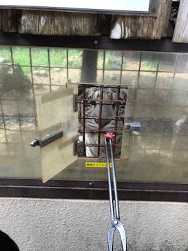 群馬サファリパークに投稿された画像（2020/9/21）