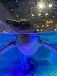 すみだ水族館に投稿された画像（2020/9/21）