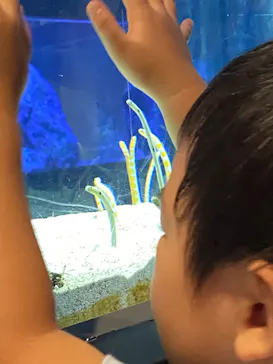 すみだ水族館に投稿された画像（2020/9/21）