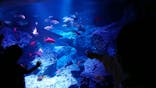 すみだ水族館に投稿された画像（2020/9/21）
