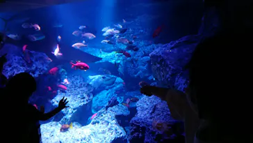 すみだ水族館に投稿された画像（2020/9/21）