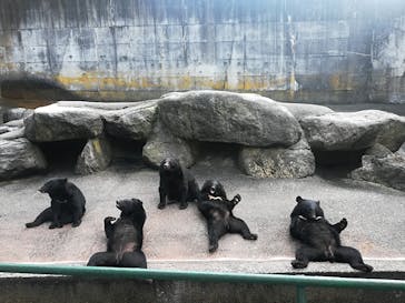 奥飛騨クマ牧場に投稿された画像（2020/9/21）