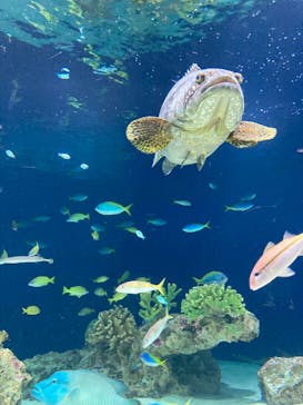 マリンワールド海の中道に投稿された画像（2020/9/21）