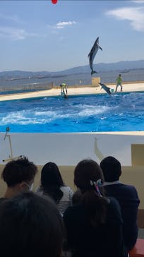 マリンワールド海の中道に投稿された画像（2020/9/21）