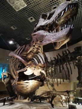 国立科学博物館に投稿された画像（2020/9/21）