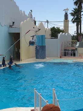 株式会社Gに投稿された画像（2020/9/21）