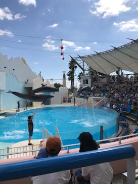 株式会社Gに投稿された画像（2020/9/21）