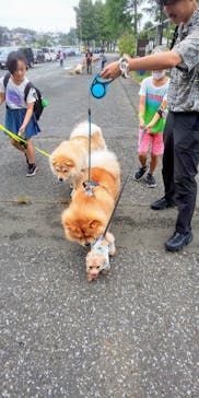 わんダフルネイチャーヴィレッジに投稿された画像（2020/9/21）