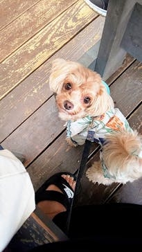 わんダフルネイチャーヴィレッジに投稿された画像（2020/9/21）