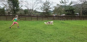 わんダフルネイチャーヴィレッジに投稿された画像（2020/9/21）