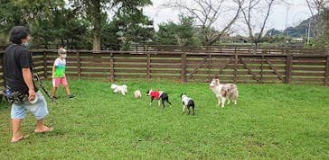 わんダフルネイチャーヴィレッジに投稿された画像（2020/9/21）